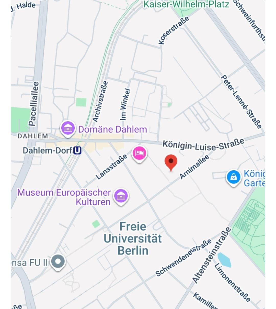 Google Maps_Arnimallee 11